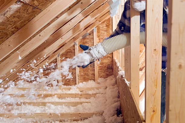 Best Garage Insulation  in Albany, LA